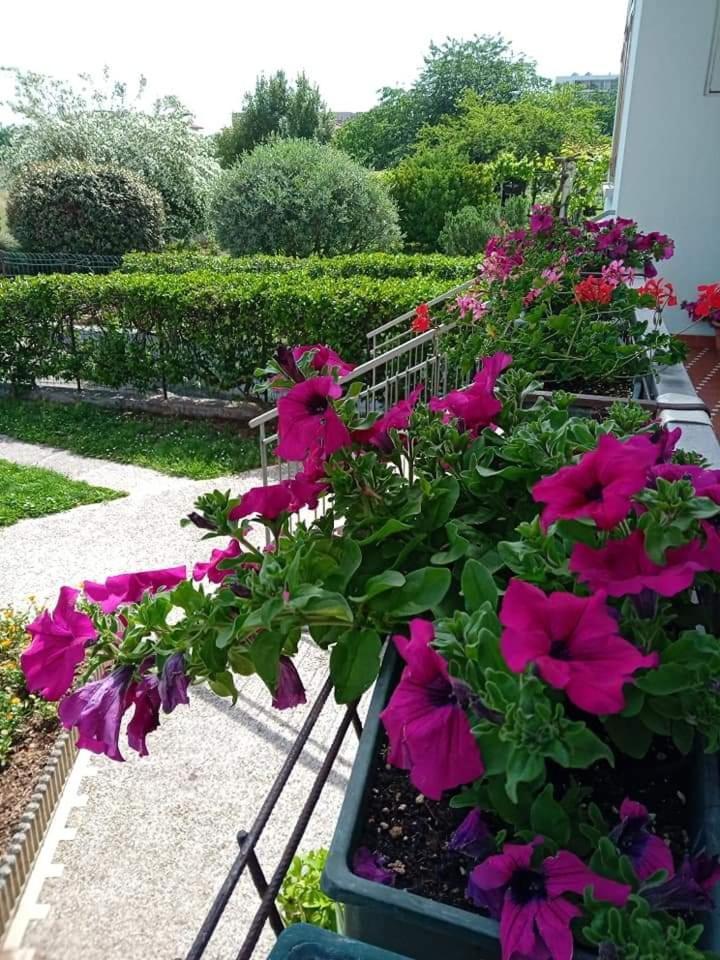 La Cjase Di Pieri E Vilme Bed & Breakfast Udine Exterior foto